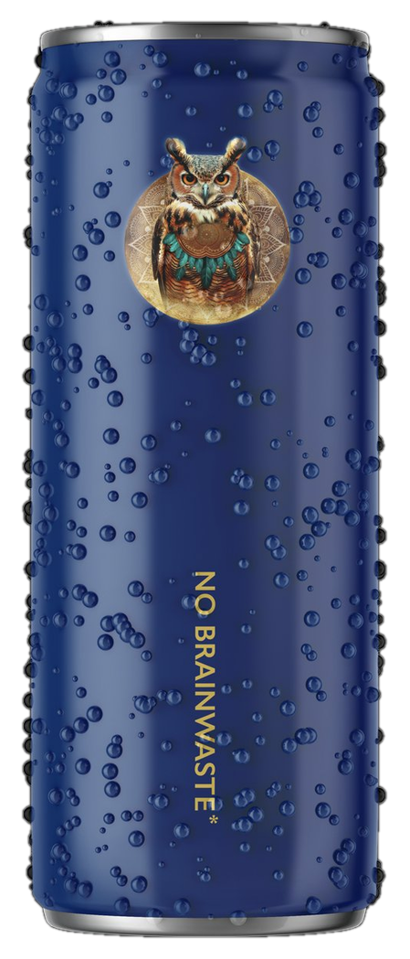 Blueberry & Pine 330 ml 24-pack